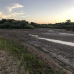 A drying Rio Grande in Albuquerque's South Valley. July 22, 2022, photo by John Fleck