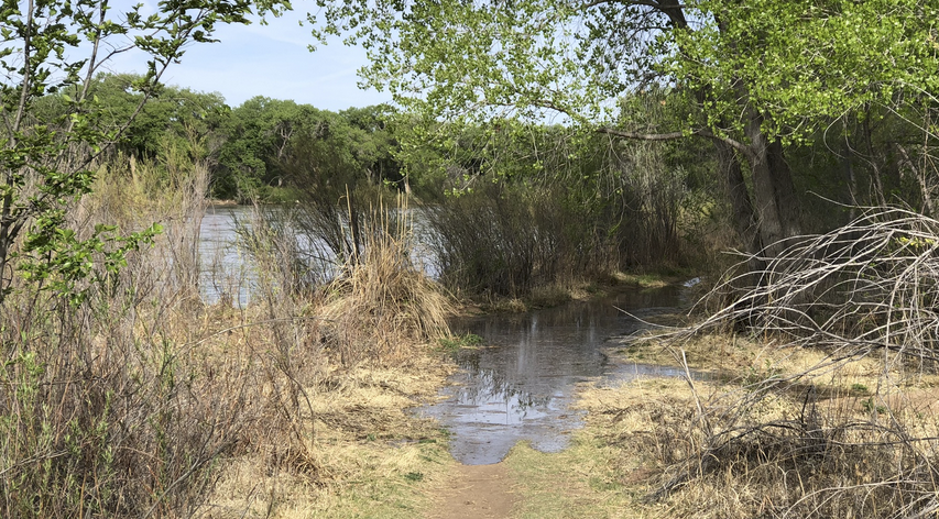 Water flowing over a bicycle trail with a river in the background