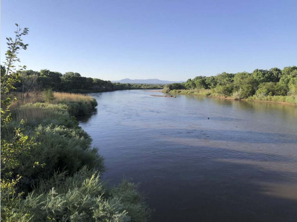 River flanked by trees with mountains in the distance.