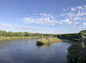 River flanked by trees with vegetated sandbar island.