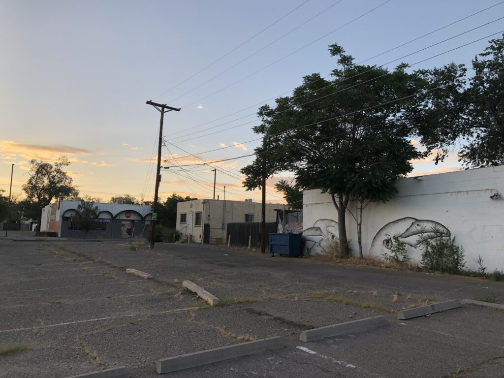 Graffiti of two birds on a white wall, separated by a tree, one looking west, one looking east, alertly. The foreground is dim, as if before sunrise, and he whispy clouds to the east are beginning to light up with the morning sun.