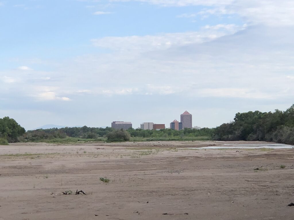 Sandy riverbed flanked by trees with city buildings in the distance.